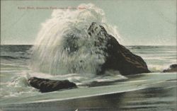 Spray Rock, Granville Point near Moclips, Wash. Postcard