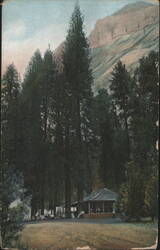 Camp Curry and Glacier Point, Yosemite, CA Postcard