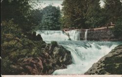 Middle Tum Water Falls, Olympia, Washington Postcard