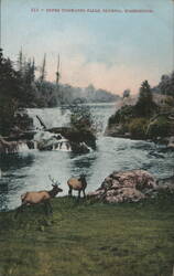 Upper Tumwater Falls with Deer Postcard