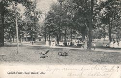 Collett Park, Terre Haute, Indiana Postcard