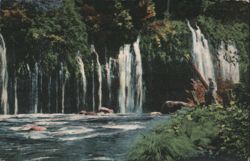 Mossbrae Falls Shasta Springs Scenic Waterfall View Postcard