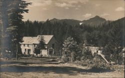 Hotel, Longmire Springs, Rainier National Park Postcard