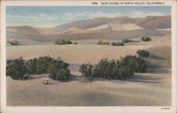 Sand Dunes in Death Valley, California Postcard
