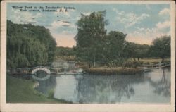 Willow Pond, Residential Section, East Avenue Postcard
