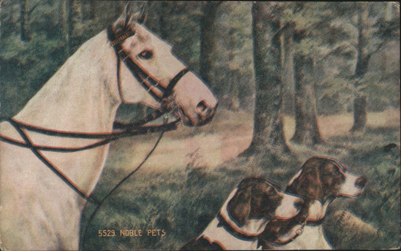 Noble Pets: White Horse and Two Hounds in Wooded Scene