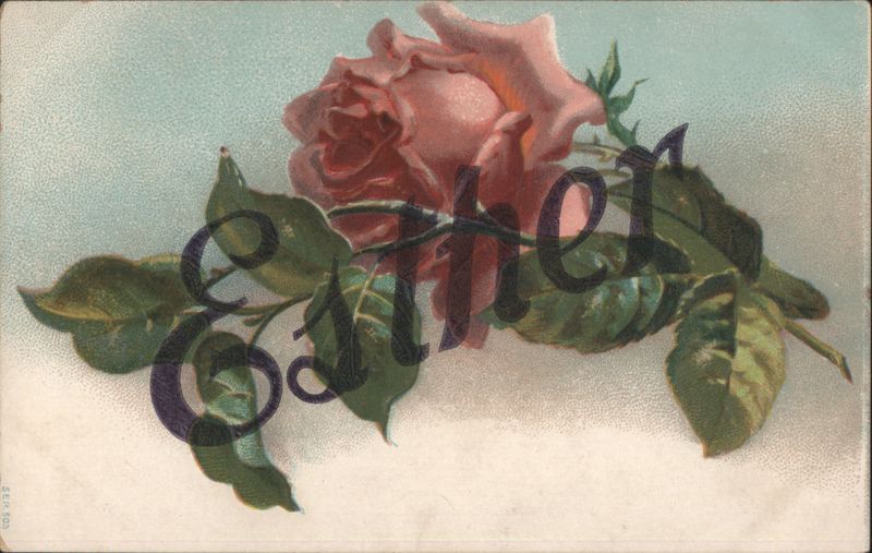 Pink Rose with 'Esther' Name Overlay Names