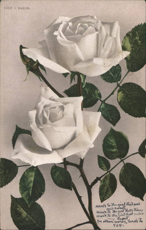 White Roses with Romantic Poem, '1962 BRIDE' Flowers