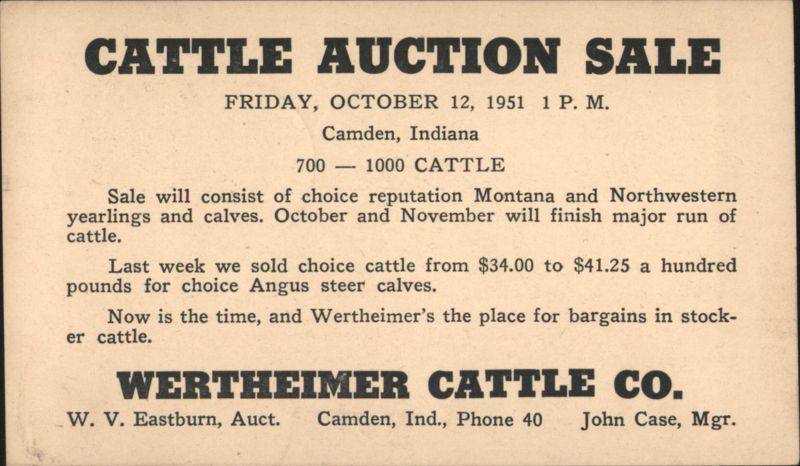 Cattle Auction Sale by Wertheimer Cattle Co., Camden, Indiana, October 1951