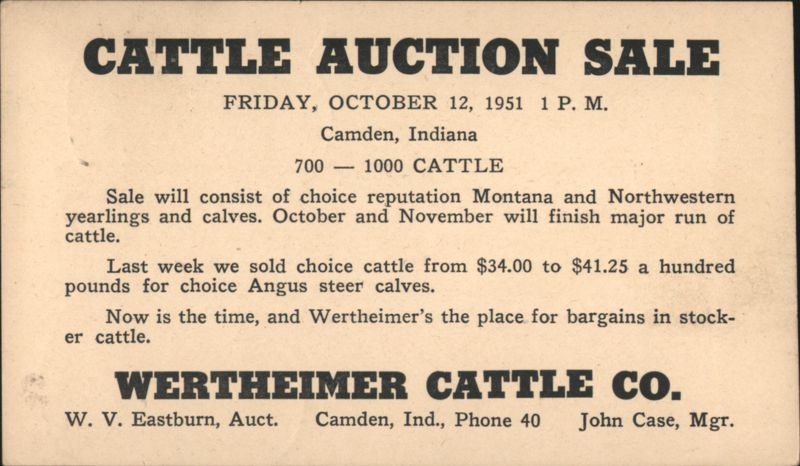 Cattle Auction Sale, Camden, Indiana - Wertheimer Cattle Co.