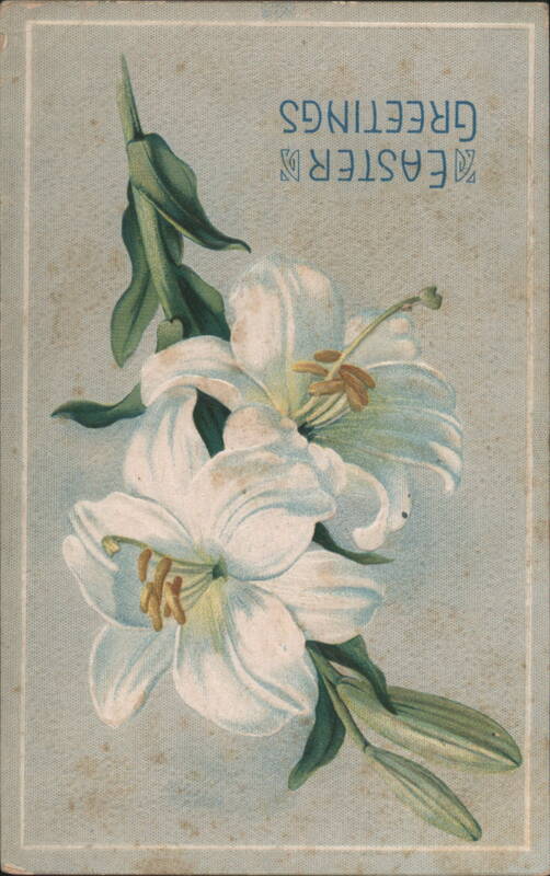 Easter Greetings with White Lilies Flowers