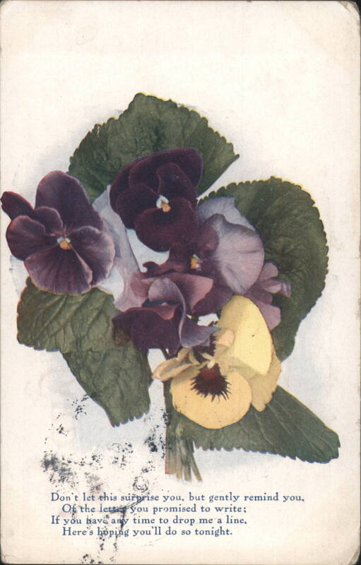 Pansies Bouquet with Poem about Writing a Letter Flowers