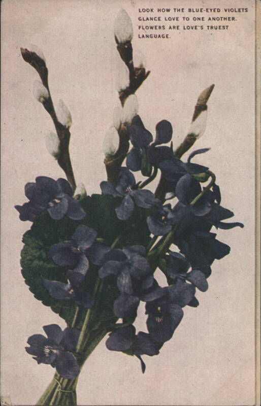 Blue-Eyed Violets and Pussy Willows Bouquet, Love's Truest Language