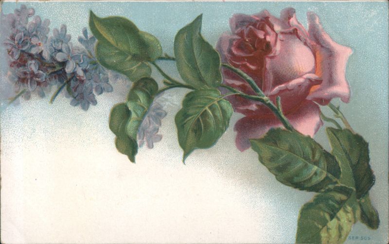 Pink Rose and Purple Lilac Flowers