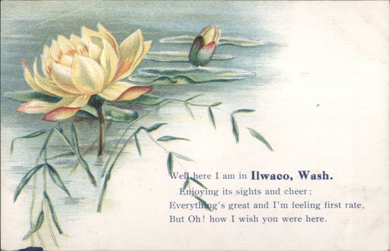 Ilwaco, WA Water Lilies with Sentimental Verse Washington