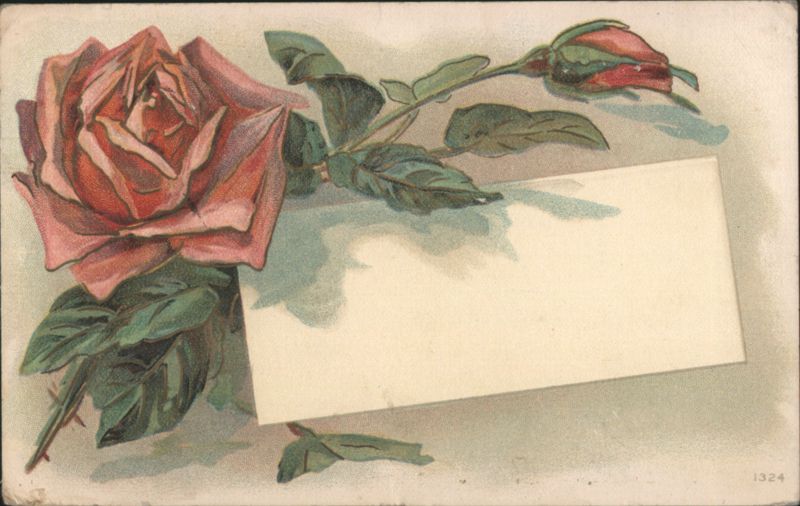 Pink Rose and Bud with Blank Greeting Area Flowers