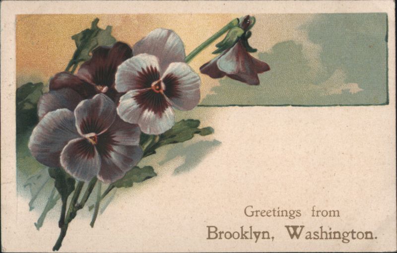 Greetings from Brooklyn, Washington with Purple and White Pansies