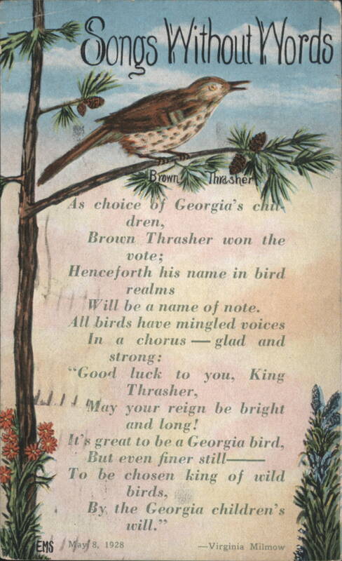 Songs Without Words Brown Thrasher Georgia State Bird Poem Atlanta