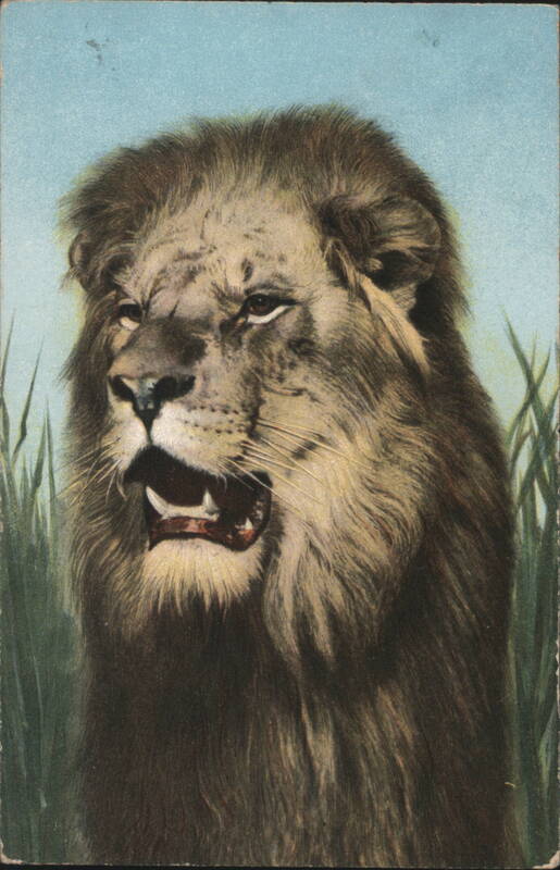 Illustrated Lion Portrait with Open Mouth and Mane