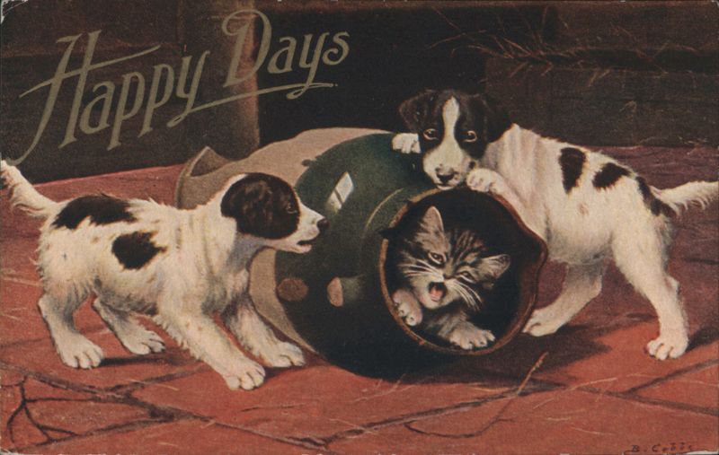 Happy Days Puppies & Kitten Playing with Helmet Dogs