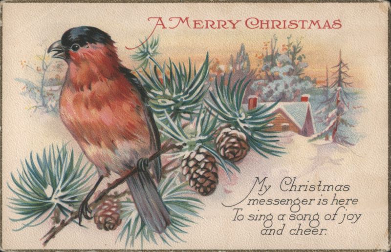 Christmas Messenger Bird on Pine Branch, Snowy Scene