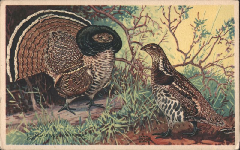 Ruffed Grouse Pair by Lynn Bogue Hunt, America's Wildlife Series