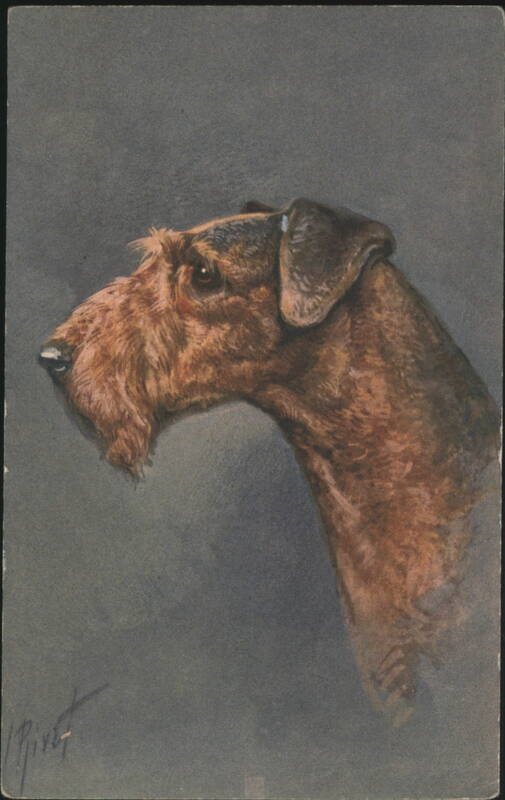 Airedale Terrier Dog Profile Watercolor Painting Dogs