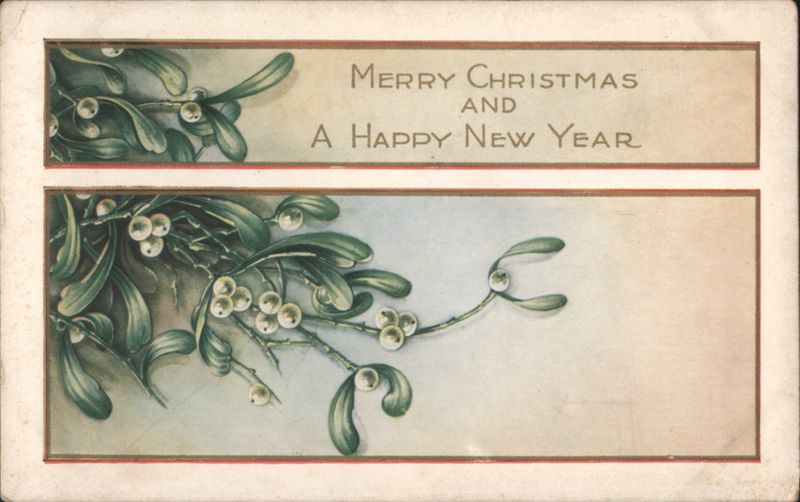 Merry Christmas and Happy New Year with Mistletoe Branches