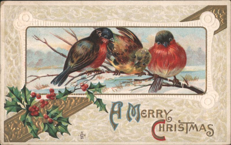 A Merry Christmas with Birds and Holly