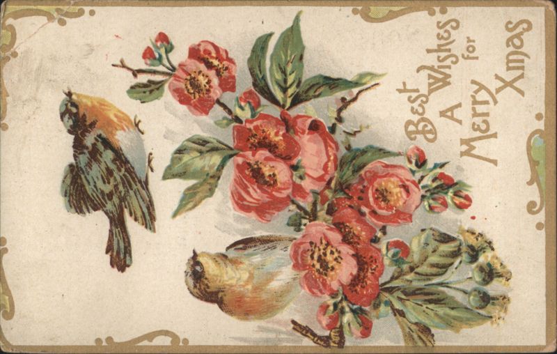 Merry Xmas Greeting with Birds and Pink Roses Christmas