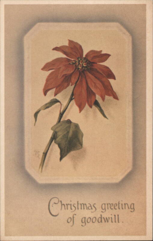 Poinsettia Flower Christmas Greeting of Goodwill F.B.
