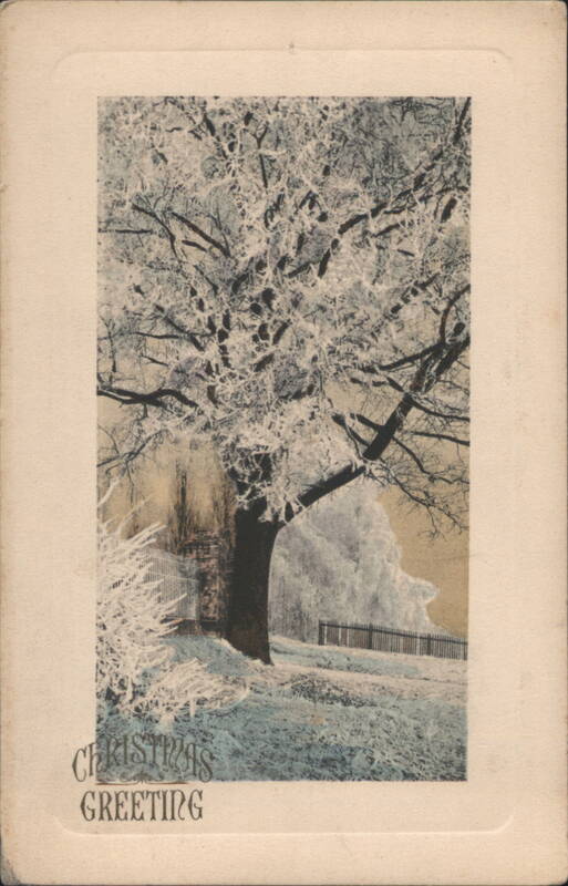 Snow-Covered Tree in Winter Landscape, Christmas Greeting