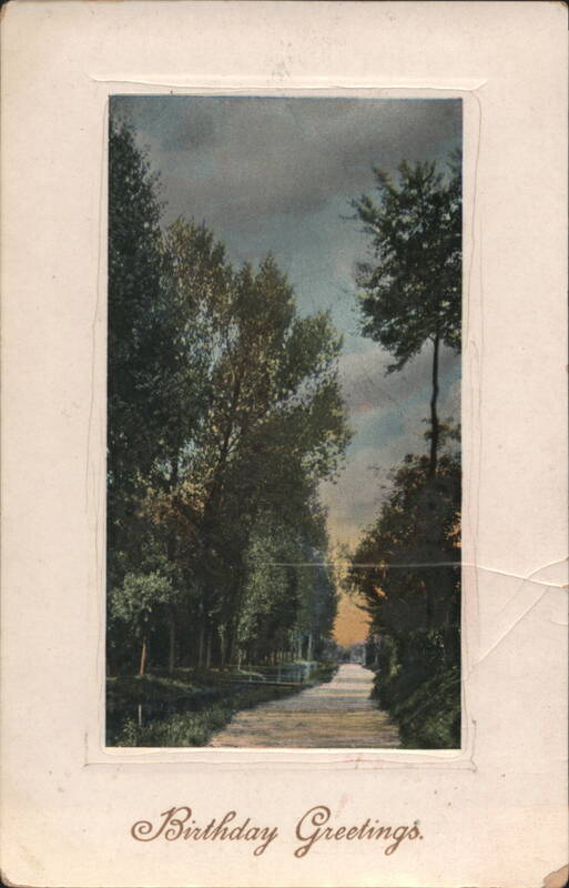 Birthday Greetings Tree-Lined Path Scenic View
