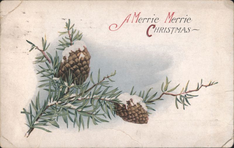 A Merrie Merrie Christmas Pine Boughs and Snow-Covered Pinecones