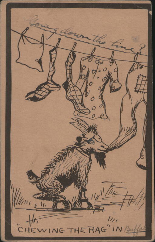 Goat Chewing Laundry on Clothesline, 'Chewing the Rag' in Buffalo
