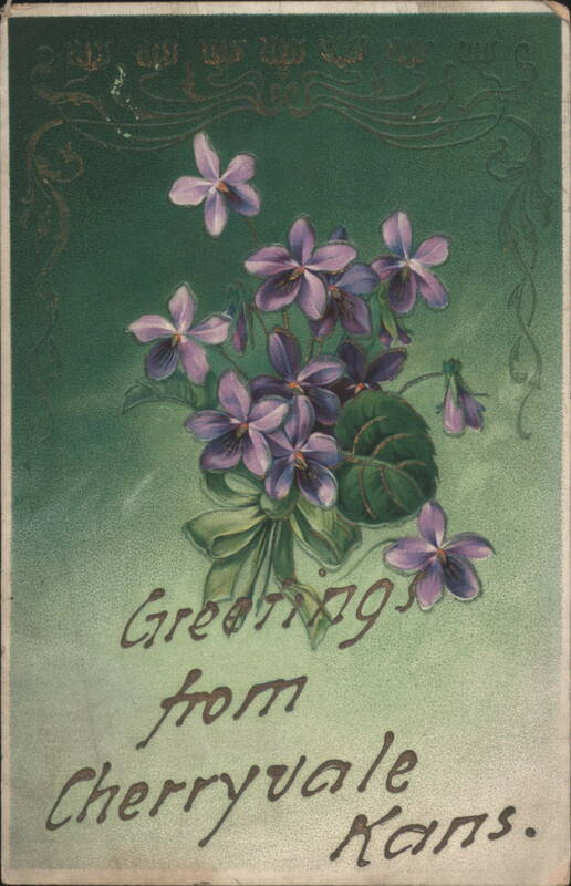 Greetings from Cherryvale KS with Purple Violets Bouquet Kansas