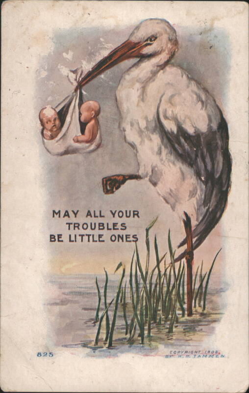 Stork Delivering Two Babies with 'May All Your Troubles Be Little Ones'