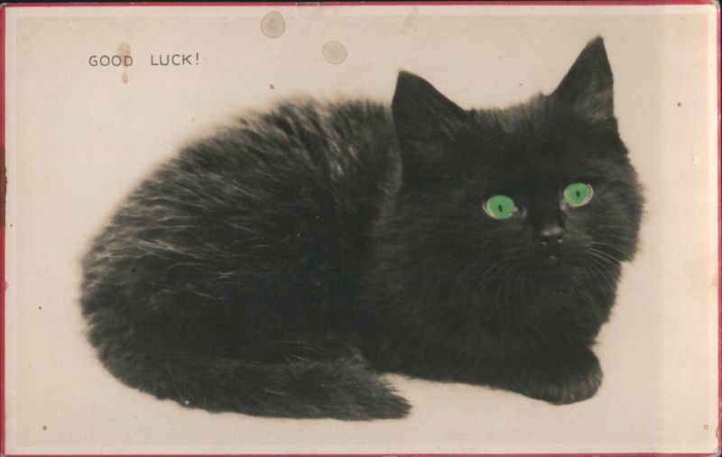 Fluffy Black Cat with Green Eyes, Good Luck Greeting