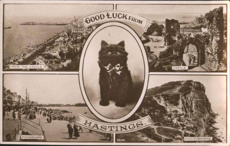 Good Luck from Hastings with Black Cat and Coastal Views United Kingdom
