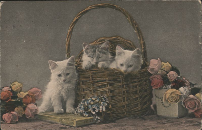 Three Kittens in Basket with Flowers, Fine Art Series