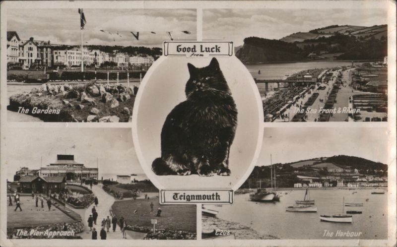 Black Cat for Good Luck with Teignmouth Views England