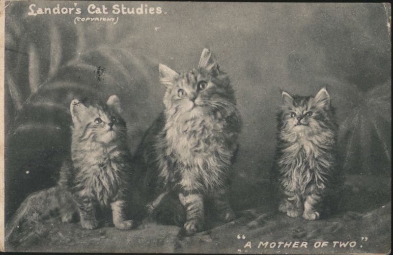 Landor's Cat Studies: A Mother of Two with Her Kittens