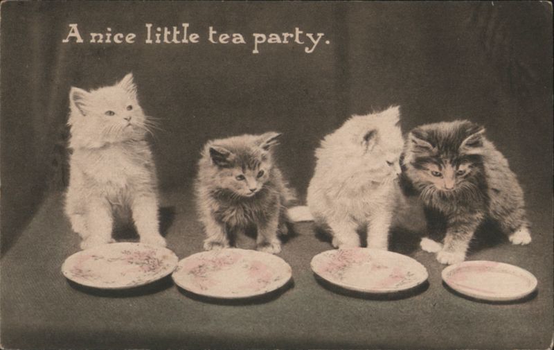 A Nice Little Tea Party with Four Kittens Cats