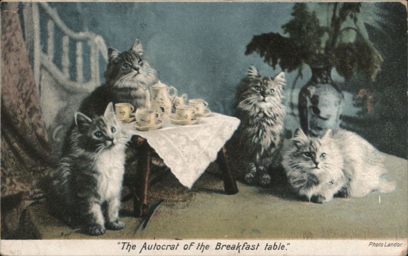 The Autocrat of the Breakfast Table, Four Cats at Tea