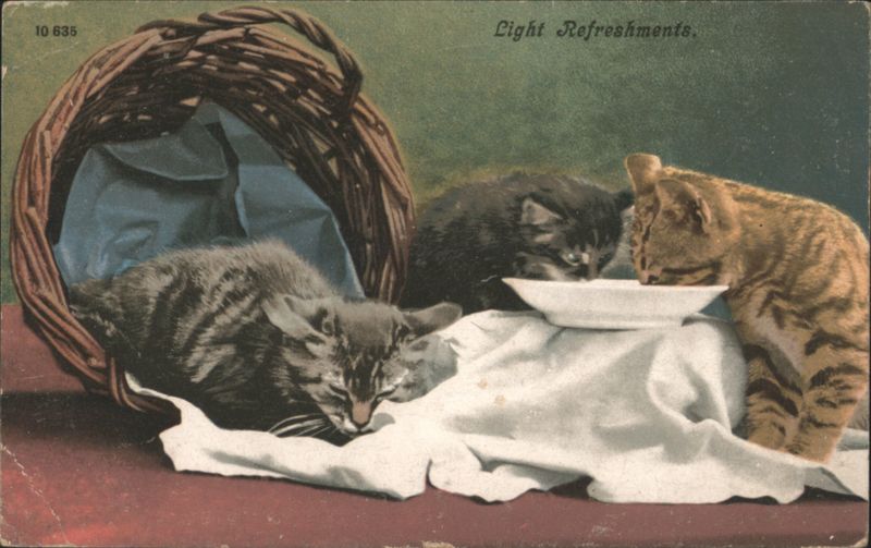 Three Kittens with Basket and 'Light Refreshments' for Christmas Greeting