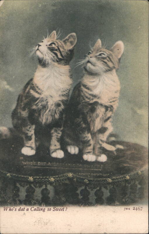 Two Tabby Cats Looking Up, 'Who's dat a Calling so Sweet?'