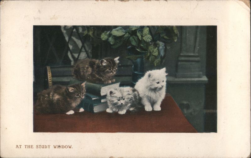 Four Kittens at the Study Window with Books Cats