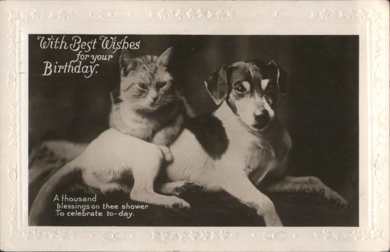 Cat and Dog with Birthday Wishes
