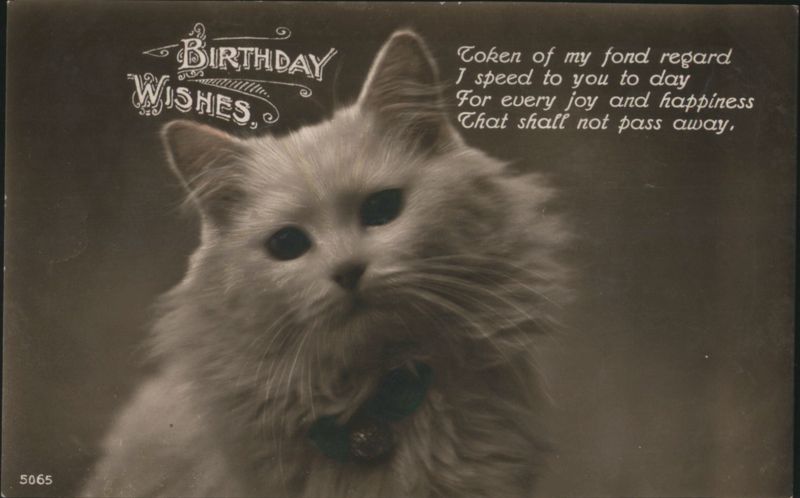 Fluffy White Cat with Birthday Wishes Poem Cats