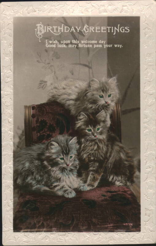 Birthday Greetings Kittens on Velvet Chair with Hand-Colored Eyes